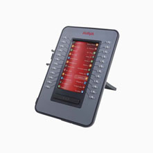 Avaya IP Phone J100 EM